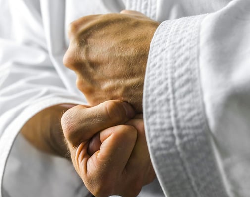 BMS Karate School uses Sync Cloud Storage